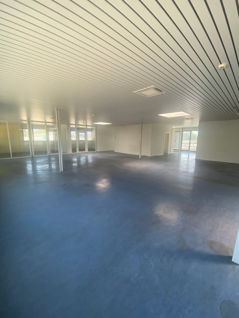 empty room, white walls, ceiling with slats, industrial flooring, glass doors and windows, no visible furniture