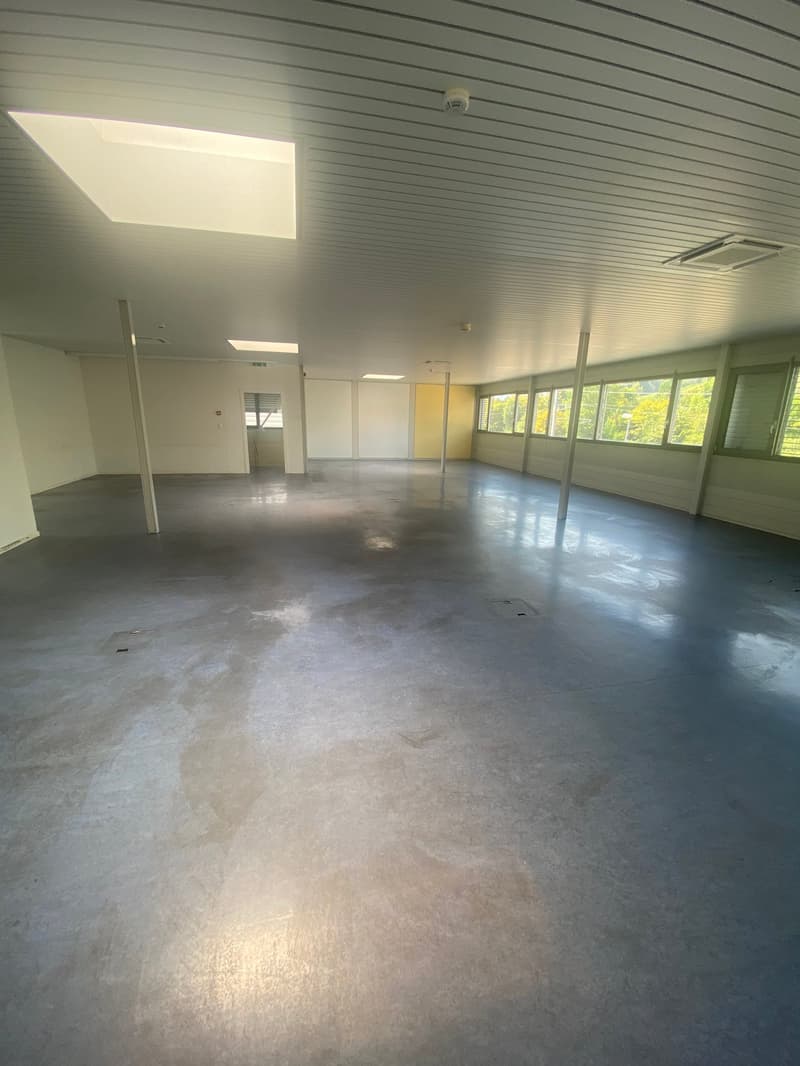 Empty room with concrete floor, exposed beams, ceiling lights, square skylight, and windows with view of trees. A small drain is in the floor. The room has pillars in the middle.