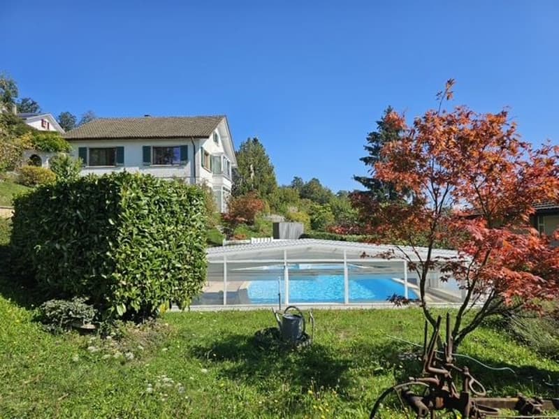 Swimming pool, trees, house, blue sky, grass, small hedges, rustic object