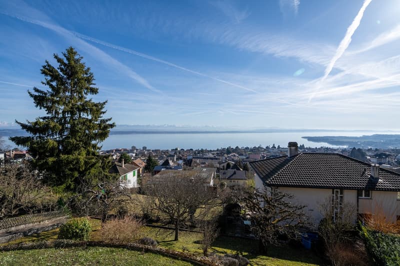 Houses with views of a large lake, mountains, and a town, trees, and bushes.