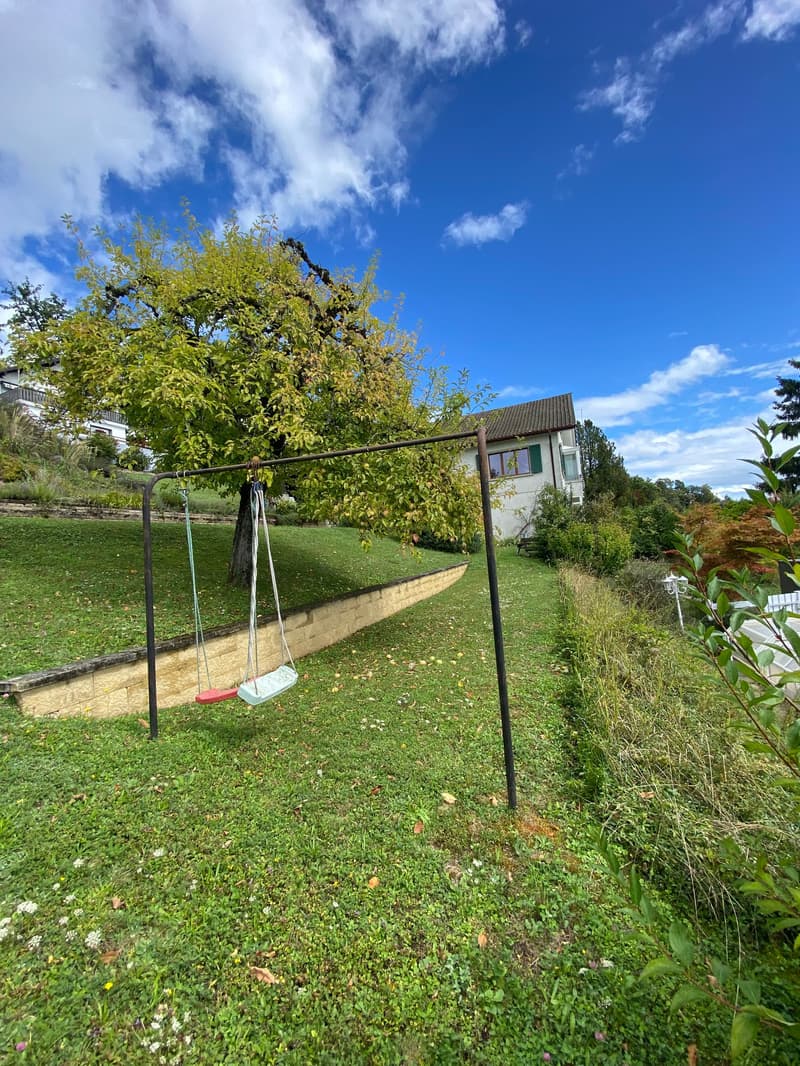 Swaying swing set under a tree with a house in the background