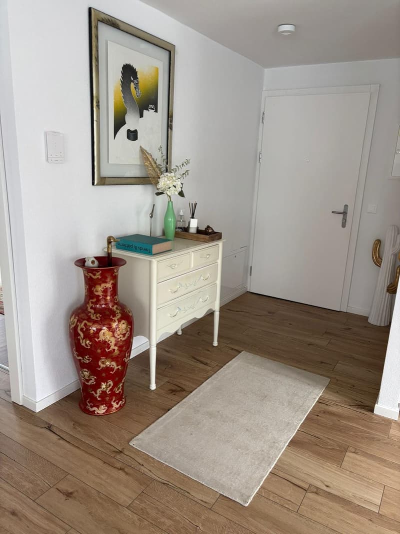 modern styled room with wooden floor, white wall, white rug, white chest of drawers, large red vase, books and flower vase on top, picture frame