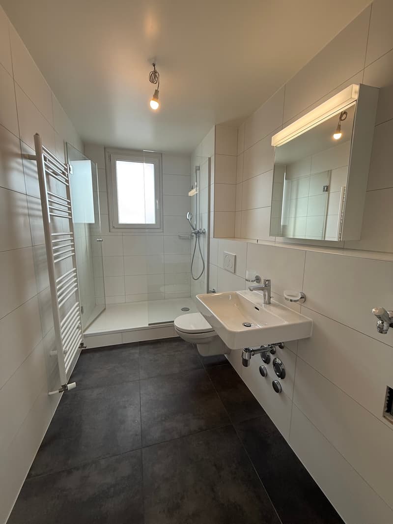 modern bathroom with white tiles, glass shower, white sink, white toilet, towel rack