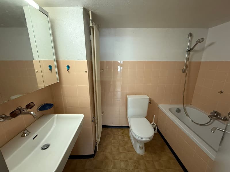 Duplex di 3,5 locali a Milvignes (7)