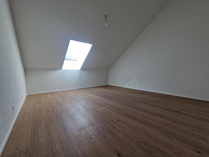 empty room, wooden floor, white walls, skylight