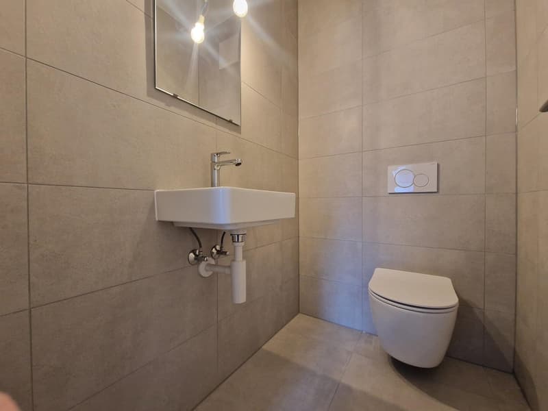 small bathroom with sink, toilet, and mirror