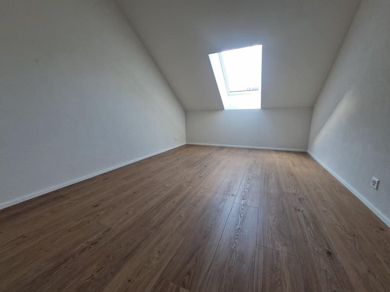 empty room, wooden floor, white walls, skylight window