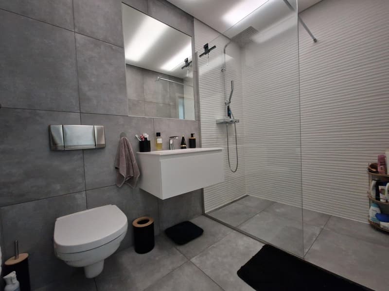 modern bathroom with gray tiles, white sink, glass shower enclosure, mirror, toilet, towel, toiletries