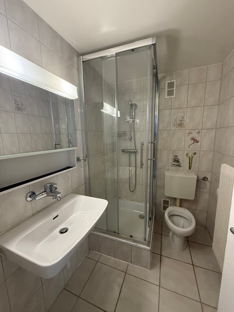 Duplex of 4.5 rooms in the heart of La Chaux-de-Fonds (10)