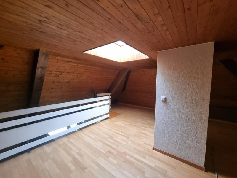 Charmantes 2,5-Zimmer-Wohnung in Neuchâtel (9)