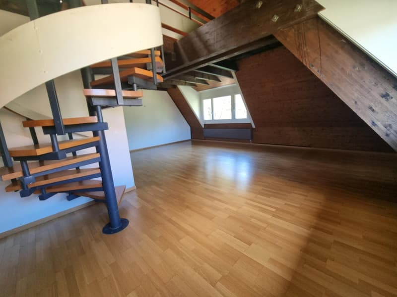 Charmantes 2,5-Zimmer-Wohnung in Neuchâtel (3)