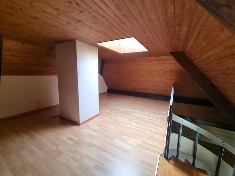 Charmantes 2,5-Zimmer-Wohnung in Neuchâtel (8)