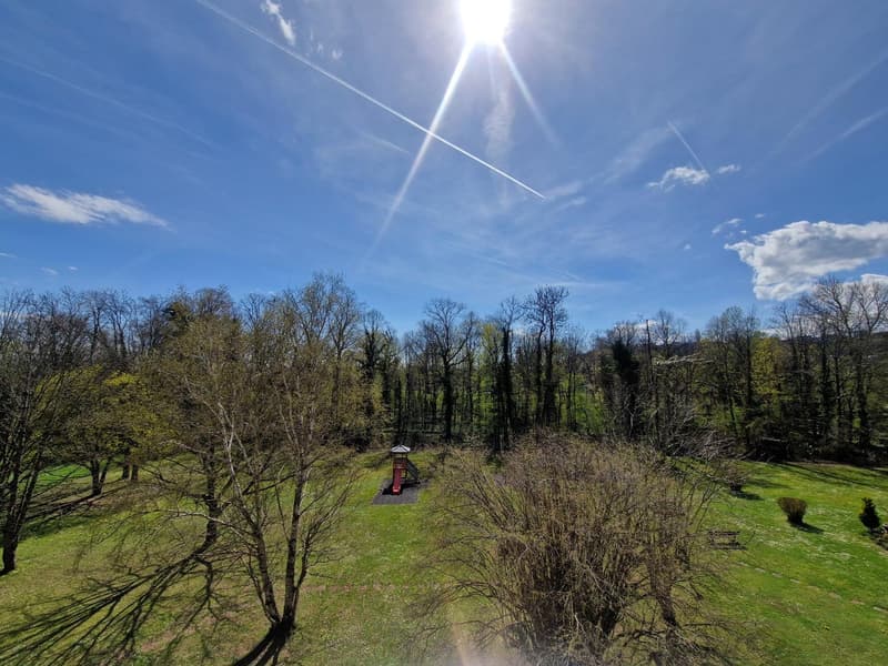 Magnificent 5.5-room apartment with exceptional views in Areuse (16)