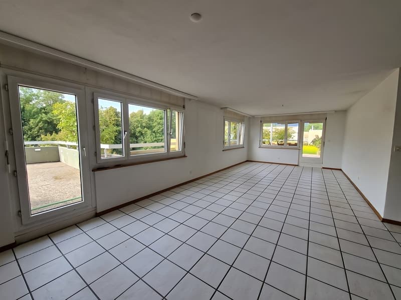 Magnifique attique de 5,5 pièces avec vue exceptionnelle à Areuse (3)