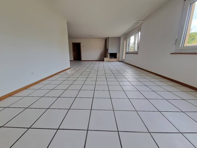 Magnifique attique de 5,5 pièces avec vue exceptionnelle à Areuse (2)