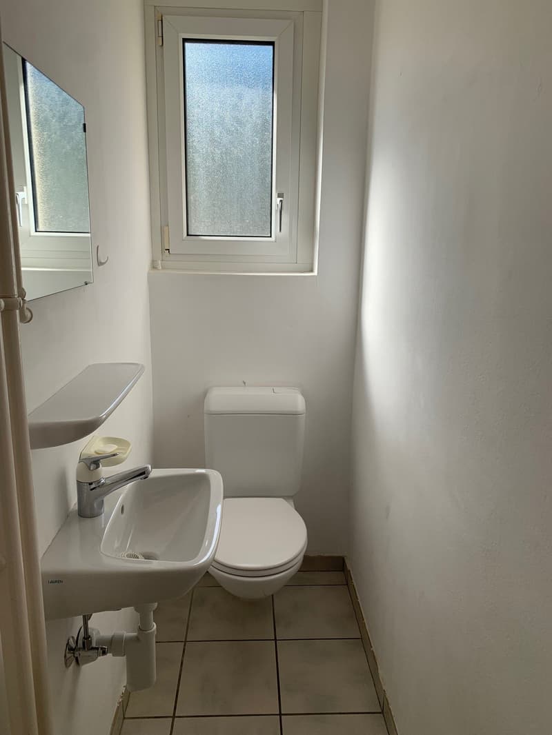 Magnificent 3-room apartment with balcony and lake view in Neuchâtel (7)