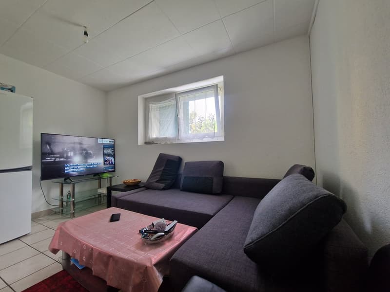 Charmantes 2-Zimmer-Wohnung im Erdgeschoss in Neuchâtel (1)
