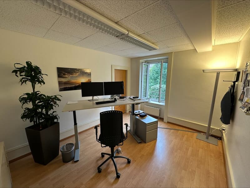 Bureau lumineux de 4 pièces au cœur de Neuchâtel (5)