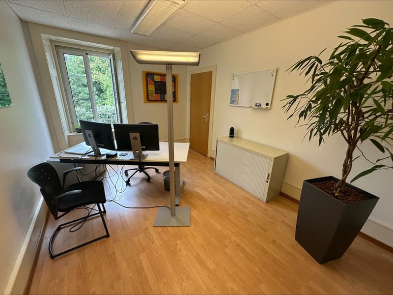 Bureau lumineux de 4 pièces au cœur de Neuchâtel (7)
