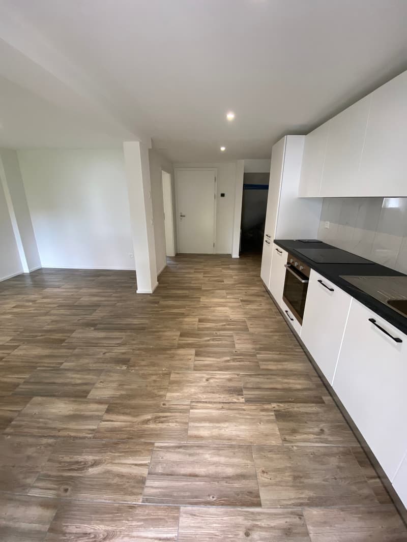 Appartement de 2.5 pièces avec terrassse et jardin à Milvignes (6)