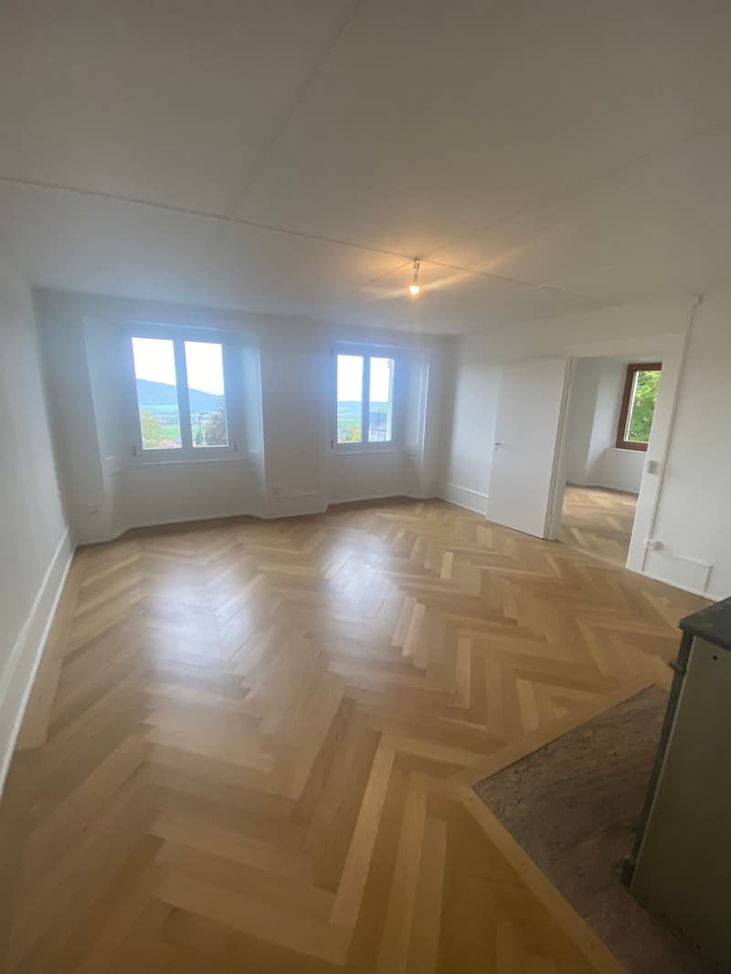 Bright 4-room apartment in Fontainemelon (4)