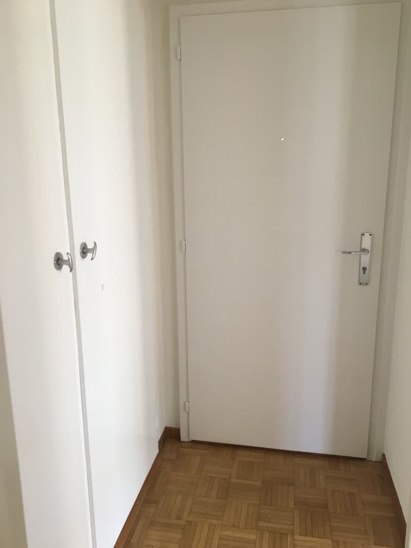 Appartement lumineux de 2 pièces avec vue panoramique à Neuchâtel (4)