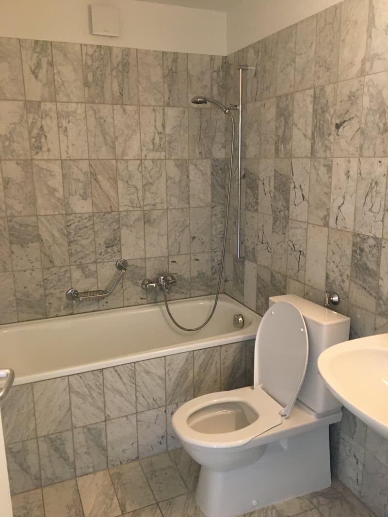 Appartement lumineux de 2 pièces avec vue panoramique à Neuchâtel (5)