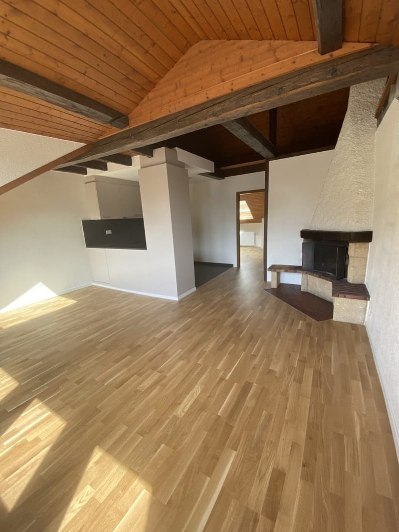 Appartamento di 3 locali luminoso in affitto a Neuchâtel (1)
