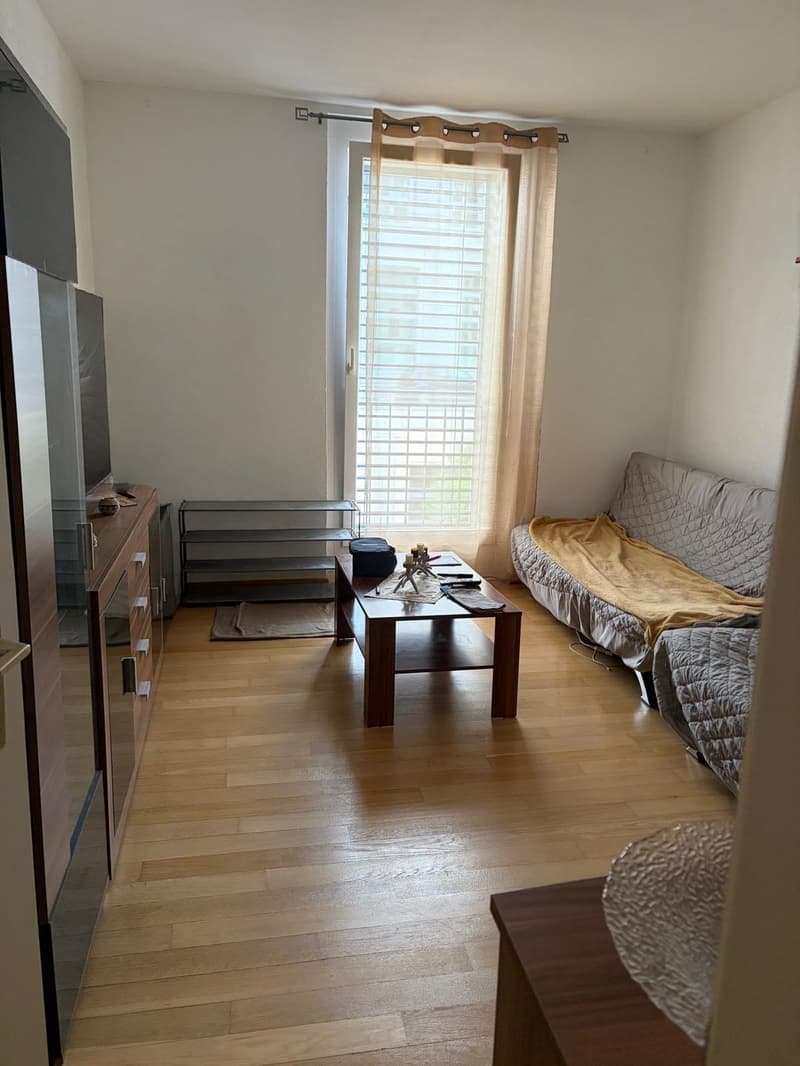Appartamento di 3.5 locali in affitto a Neuchâtel (3)
