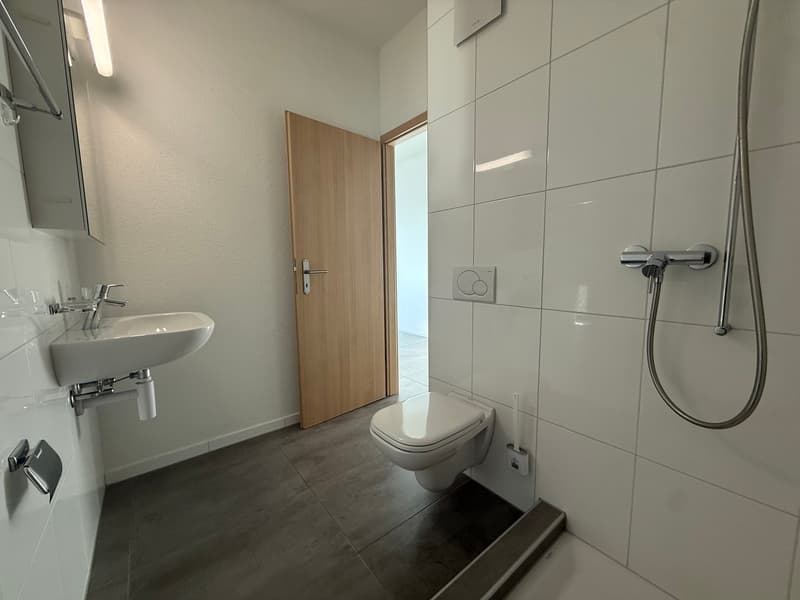 Magnifique appartement en attique de 5.5 pièces  – Vue exceptionnelle et prestations haut de gamme (11)