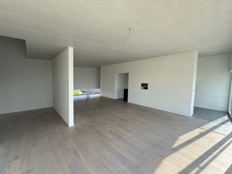 Magnifique appartement en attique de 5.5 pièces  – Vue exceptionnelle et prestations haut de gamme (2)