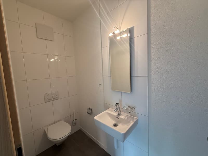 Magnifique appartement en attique de 5.5 pièces  – Vue exceptionnelle et prestations haut de gamme (5)