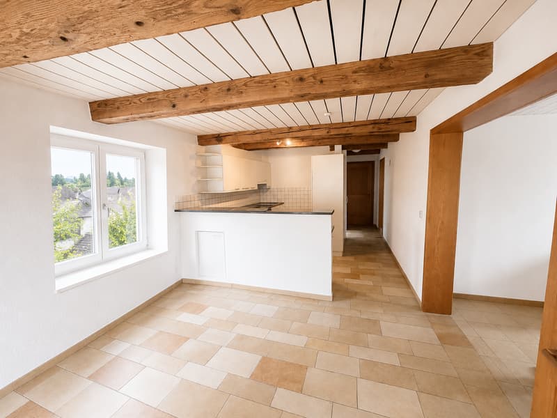 Charmant appartement de 4 pièces au cœur de Cressier (1)