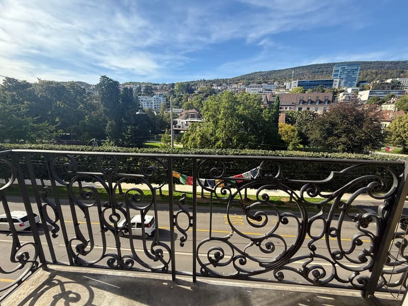 Charmant studio avec balcon à Neuchâtel (6)