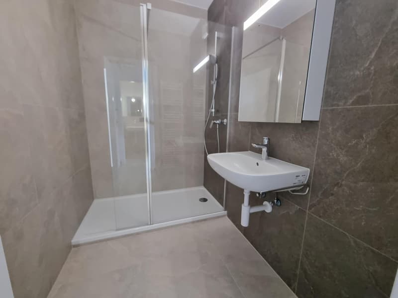 Appartement 2.5 pièces rénové à Neuchâtel (4)