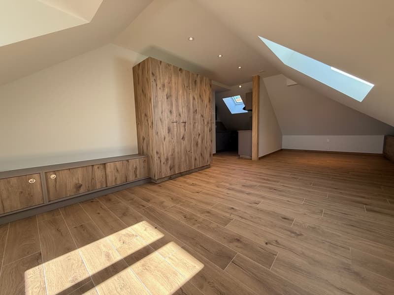 Studio entièrement rénové à Neuchâtel (8)