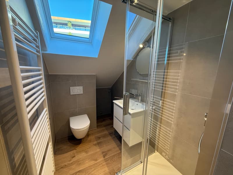 Studio entièrement rénové à Neuchâtel (9)