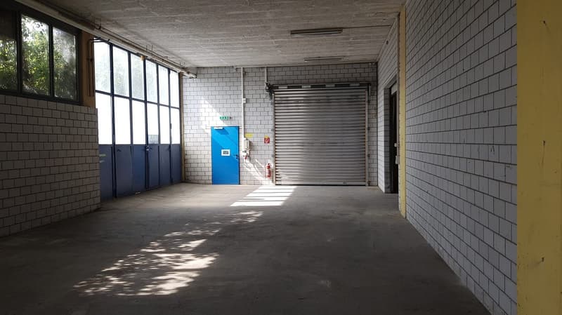 Garage with white tiled walls, cement floor, blue door, fire extinguisher, large windows, sliding garage door