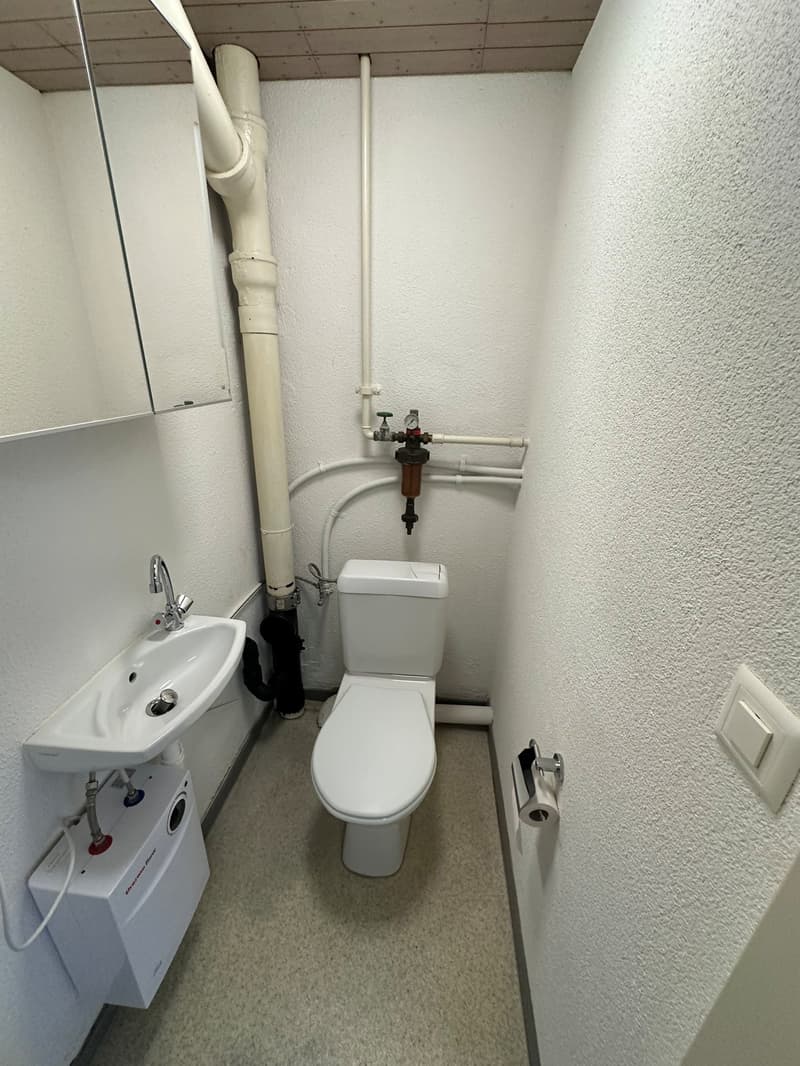 Small bathroom with white toilet, sink, and mirror