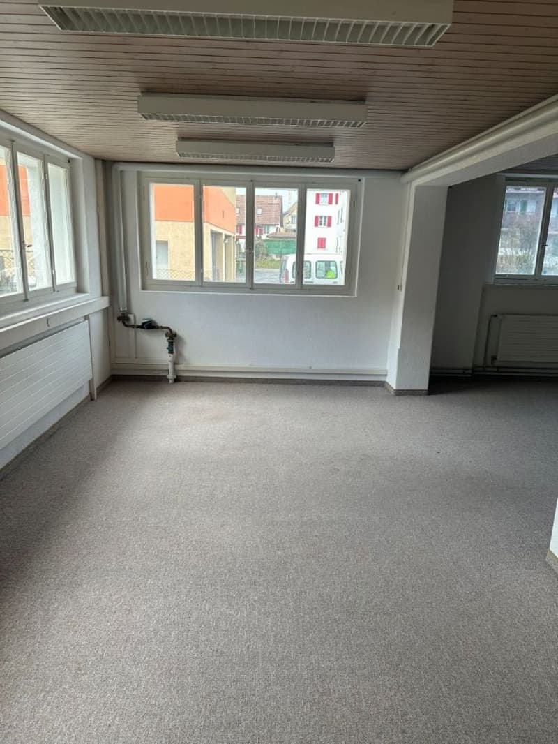 empty room, carpeted floor, large windows, radiators, ceiling lights