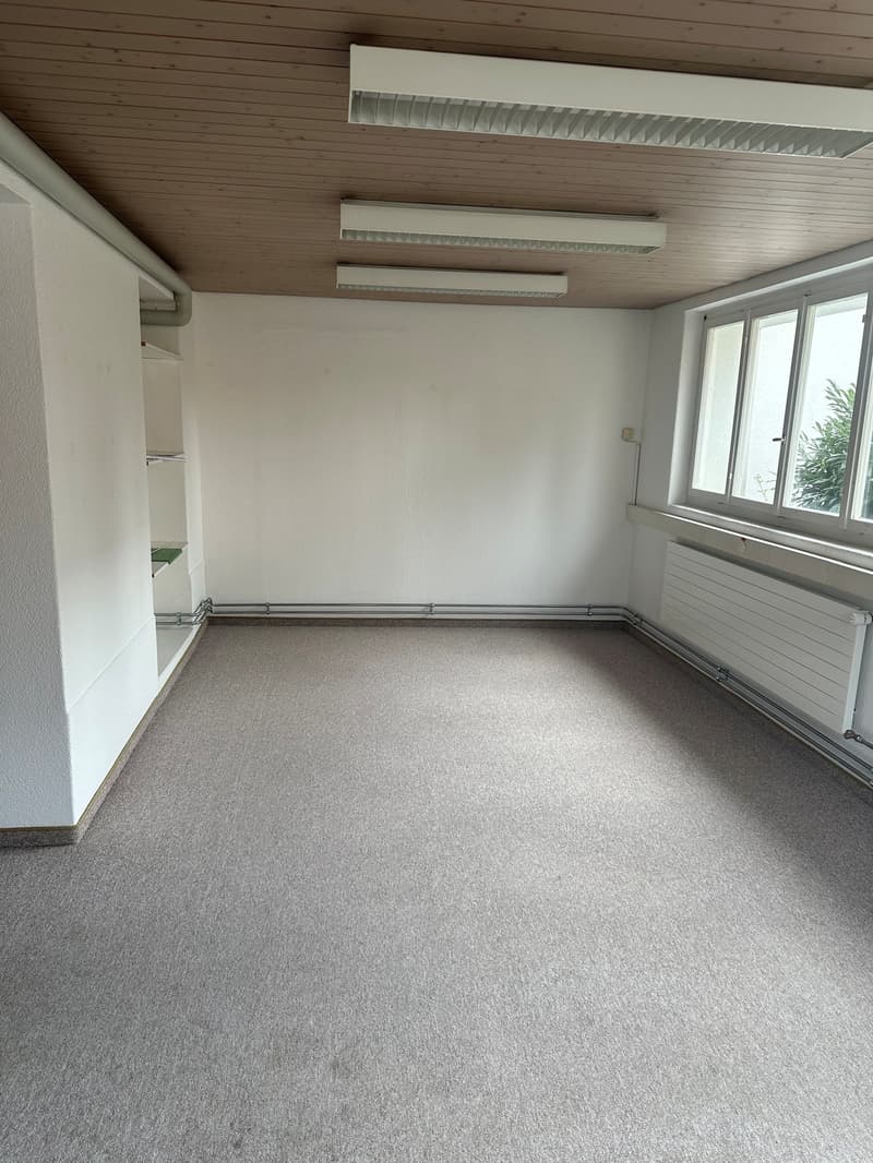 empty room, white walls, ceiling with lights, window, radiator, built-in wardrobe