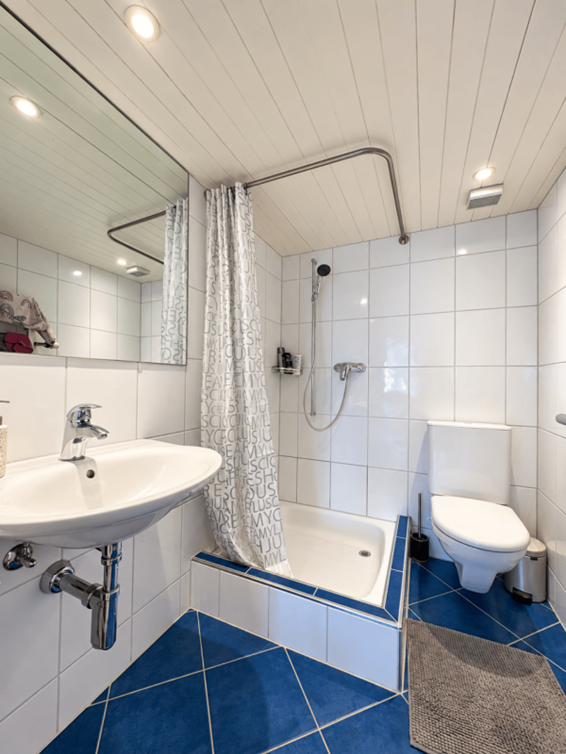 4.5-Zimmer-Doppeleinfamilienhaus an sonniger Lage (4)