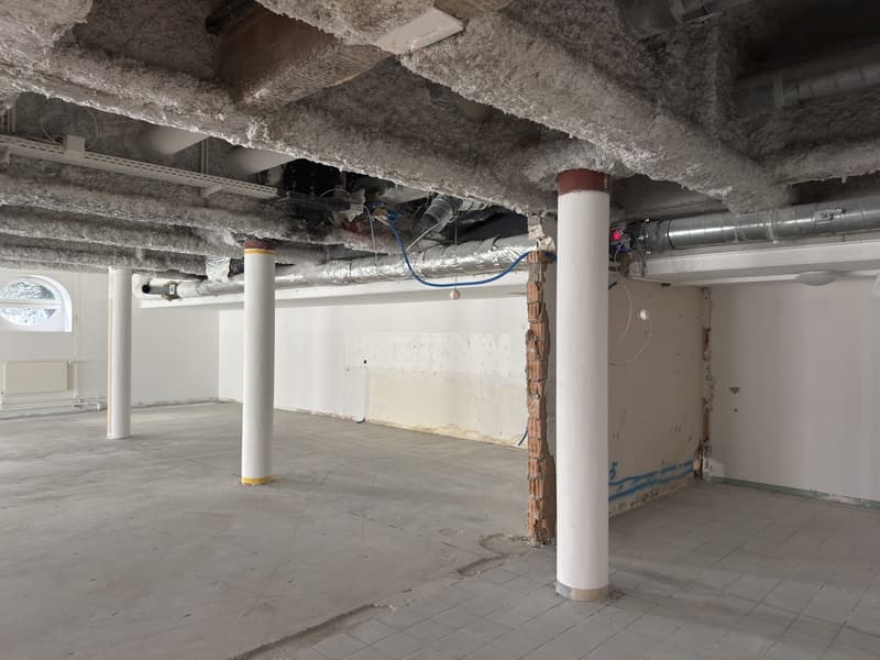 Area in stato di costruzione grezza con flessibilità di progettazione in posizione centrale (7)