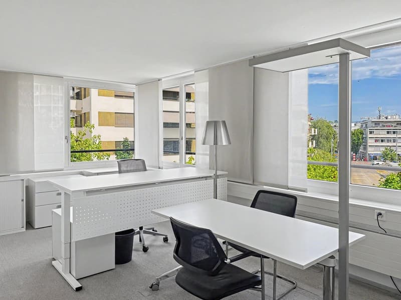 Versatile office space in the Zürcher Binz-Quartier, ready for occupancy and partially furnished (7)