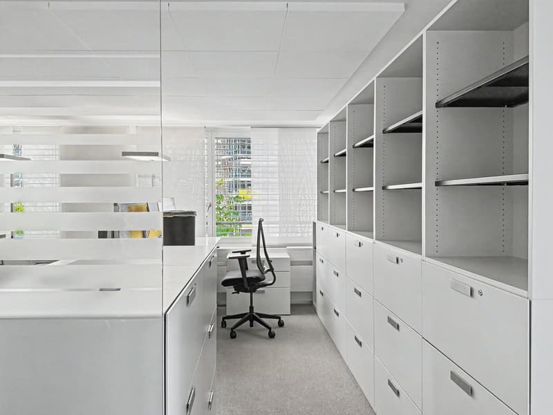 Versatile office space in the Zürcher Binz-Quartier, ready for occupancy and partially furnished (8)