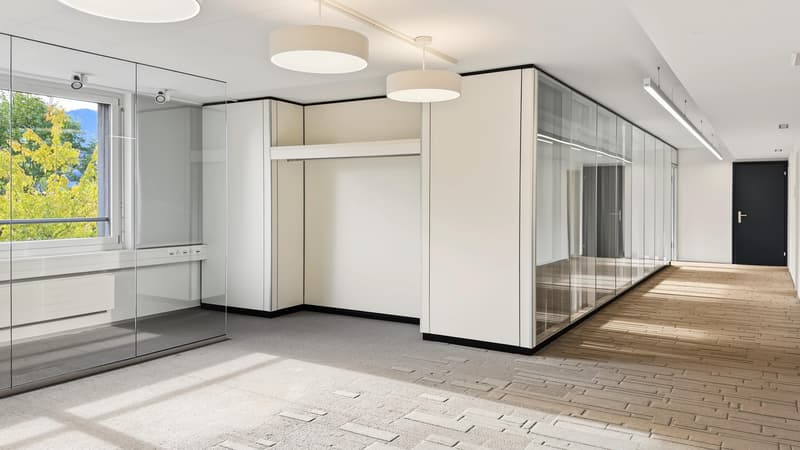 Vielseitige Bürofläche im Zürcher Binz-Quartier (5)