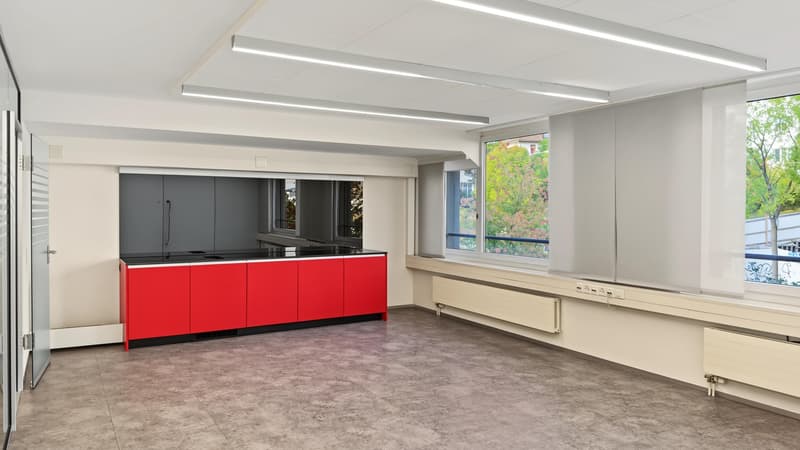 Vielseitige Bürofläche im Zürcher Binz-Quartier (9)
