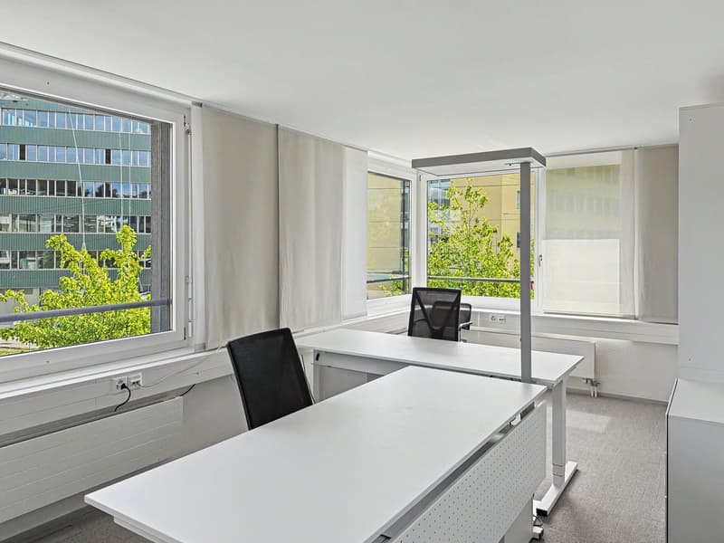 Versatile office space in the Zürcher Binz-Quartier, ready for occupancy and partially furnished (6)