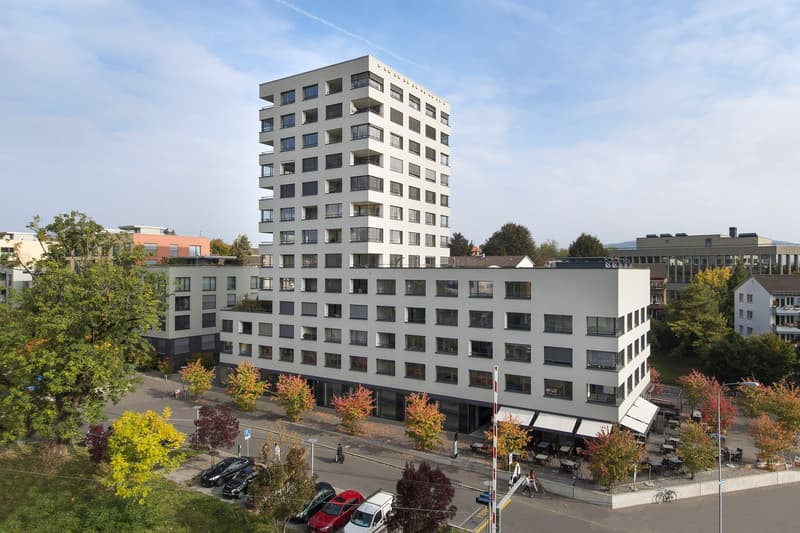 Versatile office space in the Zürcher Binz-Quartier, ready for occupancy and partially furnished (1)