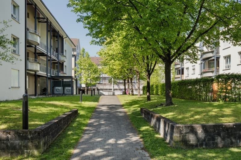 6155_Haus-Zoom_14_16_klein.jpg